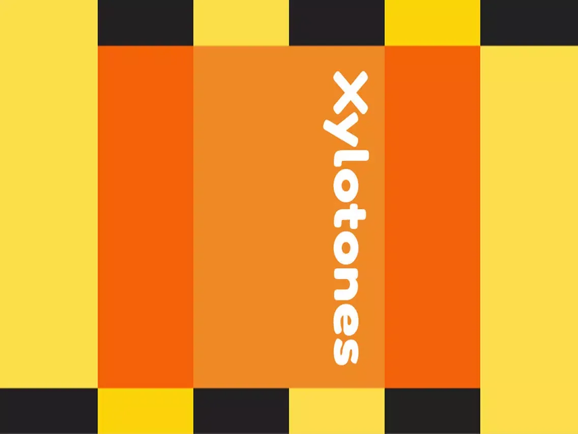 Xylotones iPad  Ekran Görüntüleri