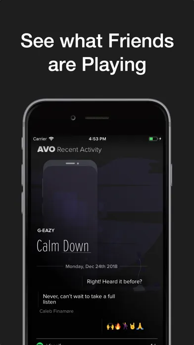 ภาพหน้าจอของ Avo