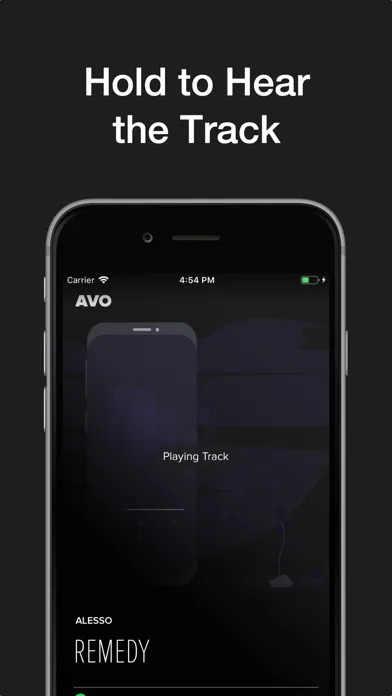 ภาพหน้าจอของ Avo