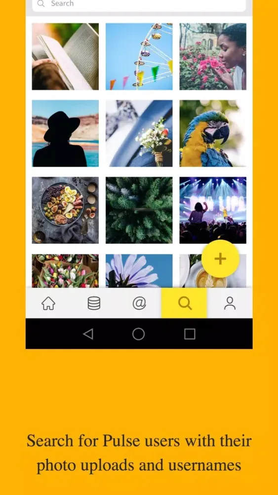 تصاویر MTN Pulse