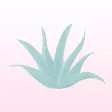 Aloe Vera - Vegan Guide Aloe Vera - Vegan Guide