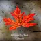 Citizenship Test - Canada