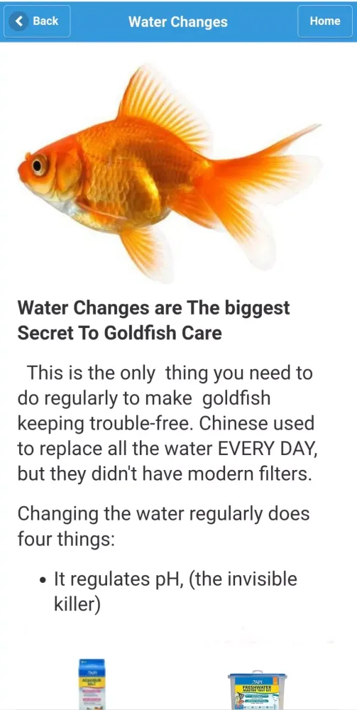 How to keep Goldfish happy Screenshots