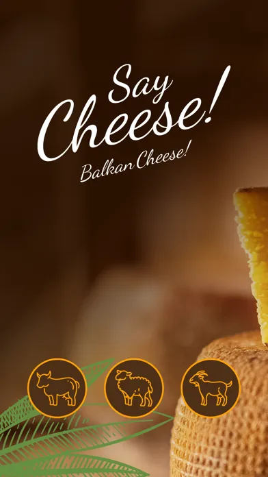 Say Cheese BN应用截图