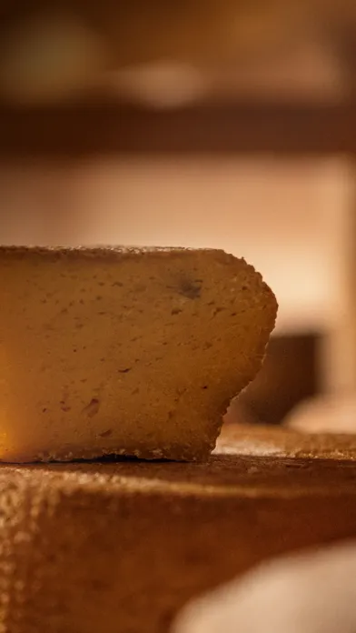 Say Cheese BN应用截图