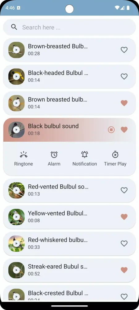 Bulbul bird sounds স্ক্রিনশট