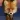 Fox sounds