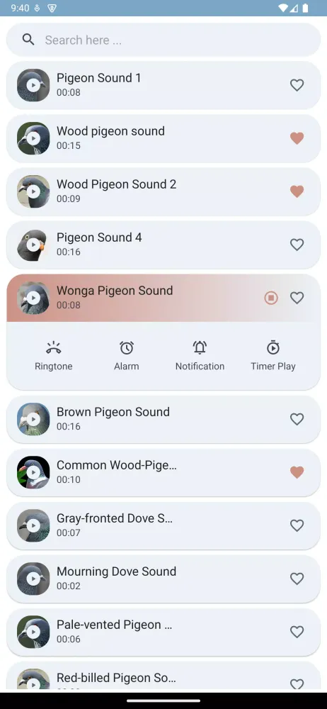 Pigeon Sounds应用截图