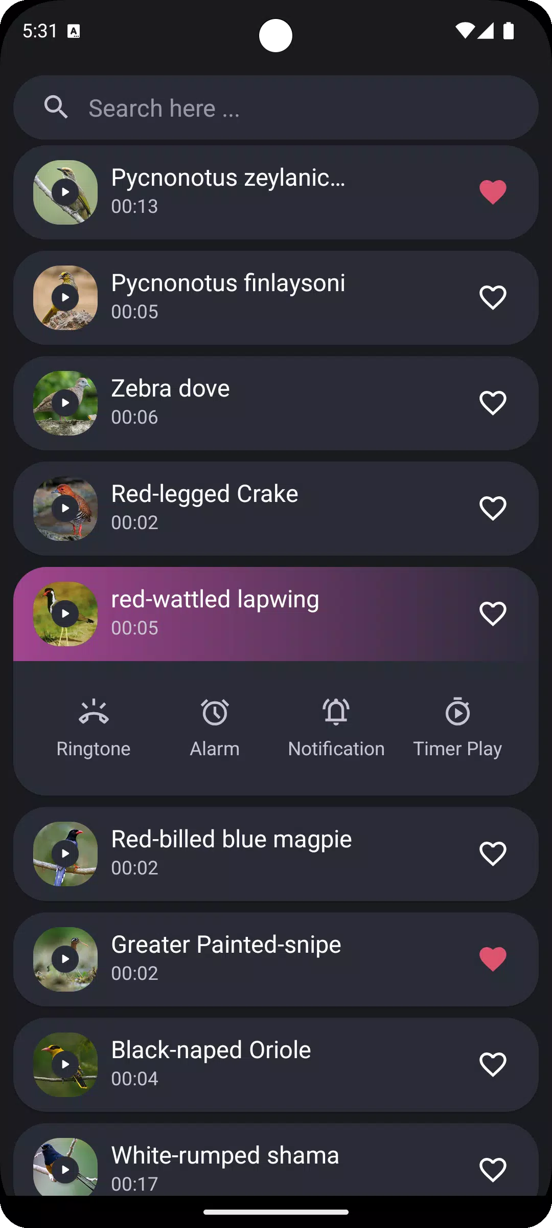 Thai Bird Sounds Screenshots