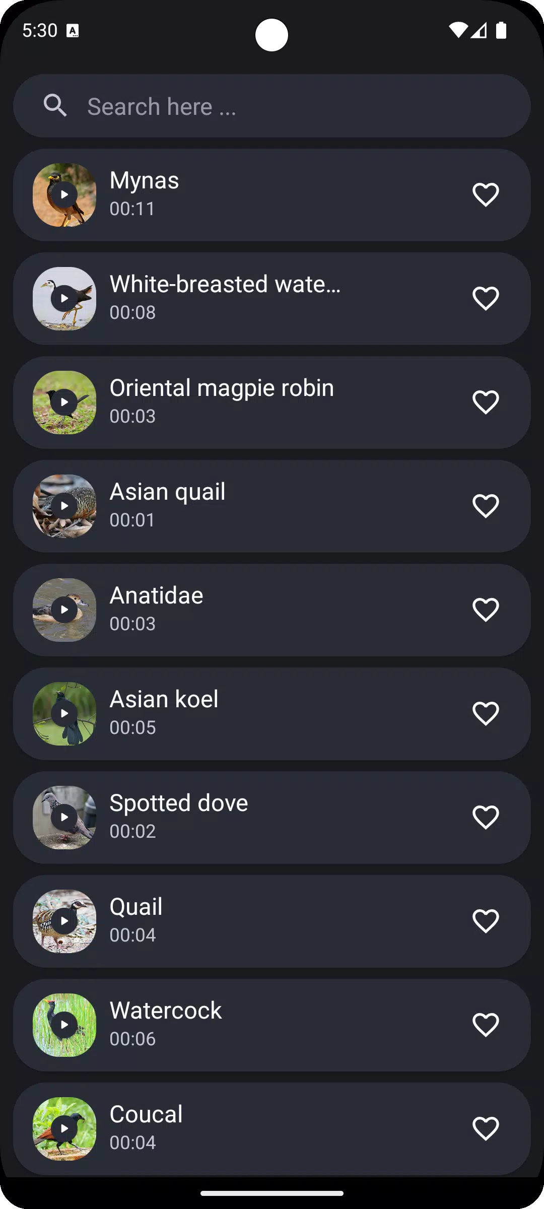 Thai Bird Sounds Screenshots