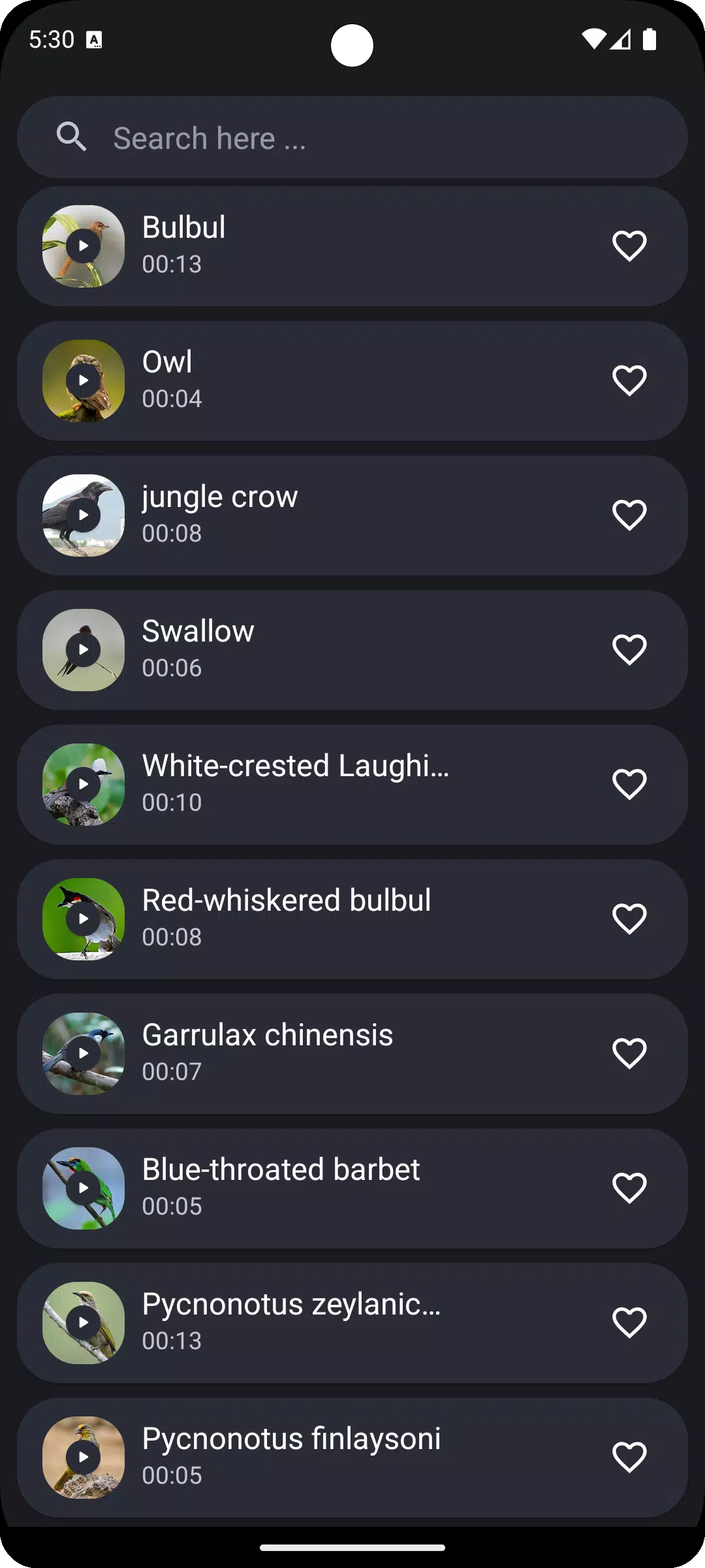 Thai Bird Sounds Screenshots