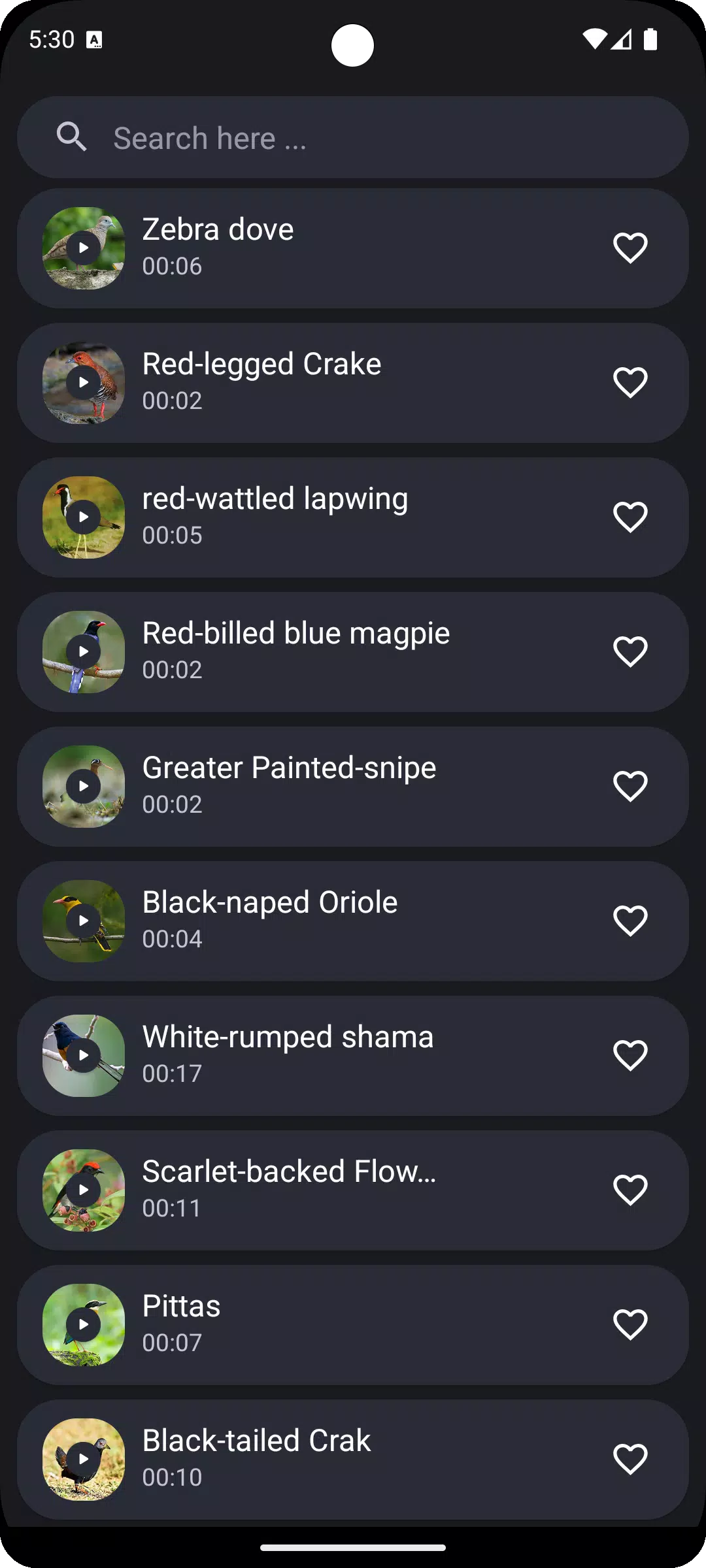 Thai Bird Sounds Screenshots
