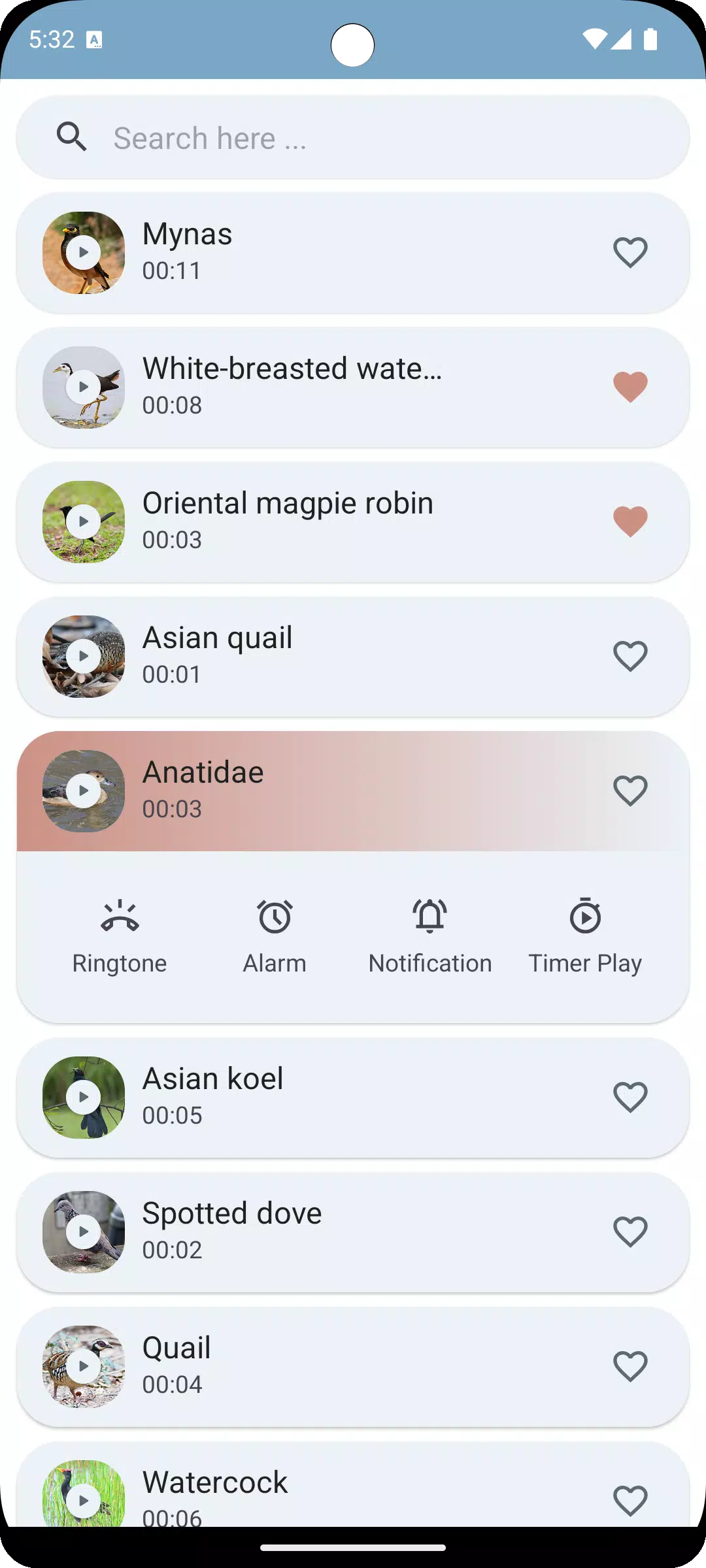 Thai Bird Sounds Screenshots