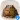 Toad Sounds