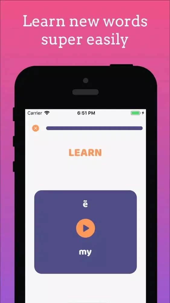 Learn Tamil Bhasha スクリーンショット