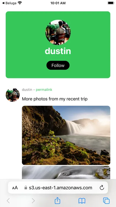 تصاویر Beluga Social