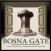 Bosnagate
