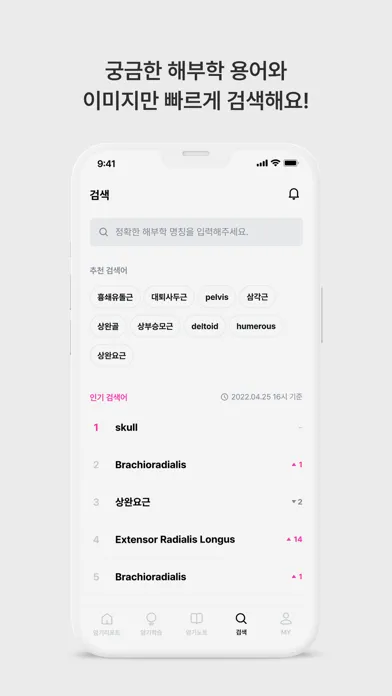 تصاویر 아나토미마스터 - 이파마스터가 만든 해부학 암기앱