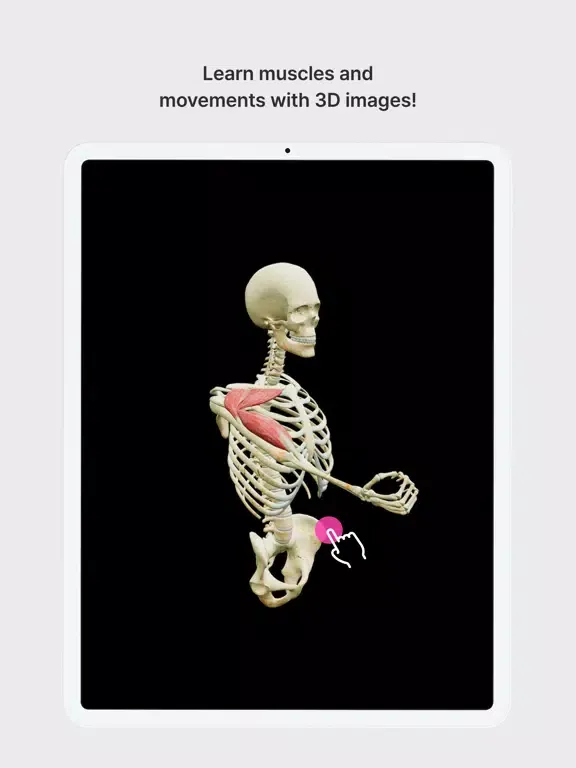 Captures d'écran de Anatomy Master iPad 