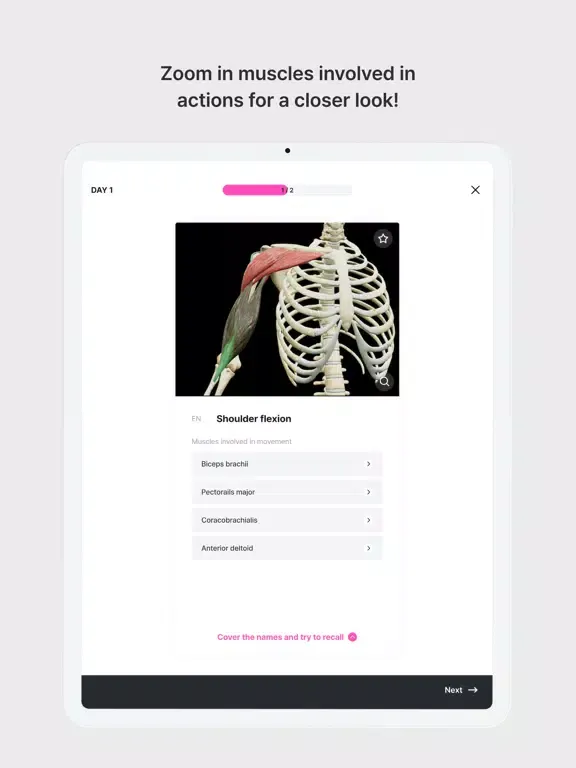 Captures d'écran de Anatomy Master iPad 