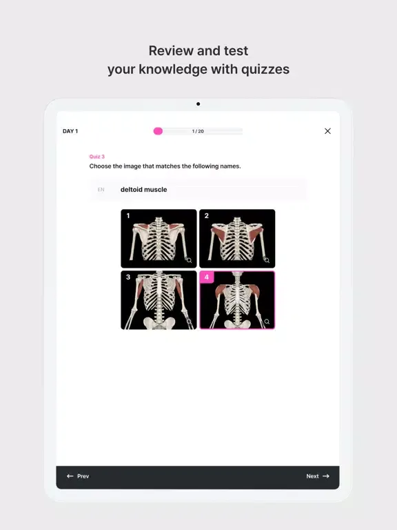 Captures d'écran de Anatomy Master iPad 