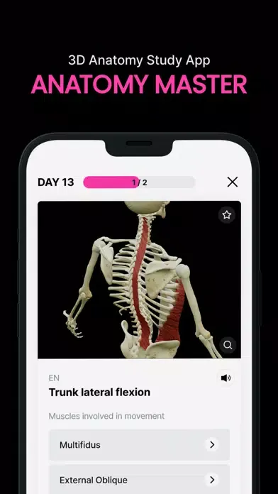 Captures d'écran de Anatomy Master
