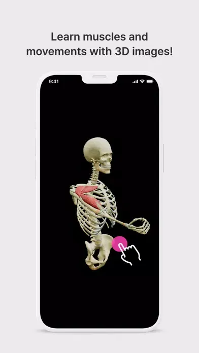Captures d'écran de Anatomy Master
