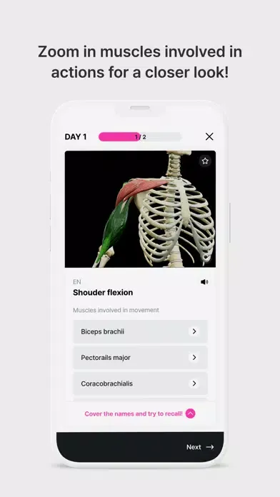 Captures d'écran de Anatomy Master
