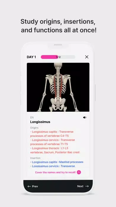 Captures d'écran de Anatomy Master