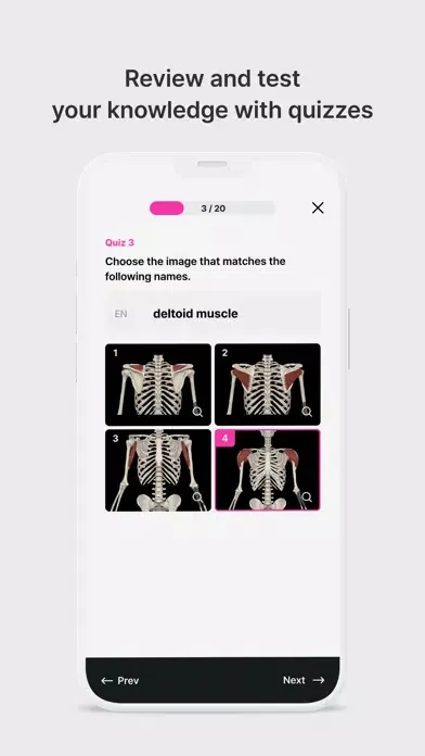 Captures d'écran de Anatomy Master
