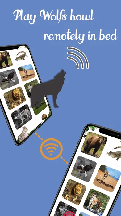 Zrzuty ekranu Animal Soundbook