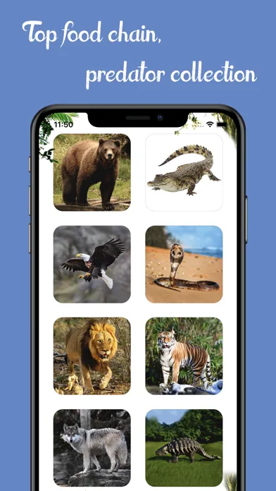 Zrzuty ekranu Animal Soundbook