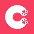 CatChat - cat photos and memes