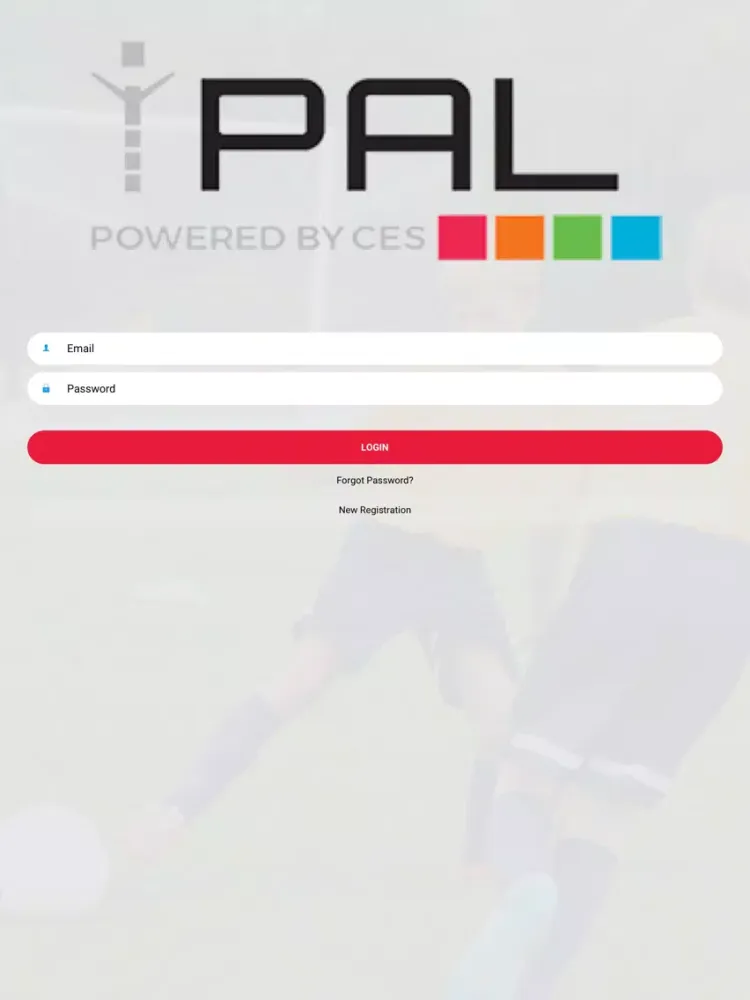 تصاویر iPAL iPad 