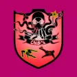 Club Deportivo Chi Boi