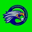 Halcones HC Halcones HC