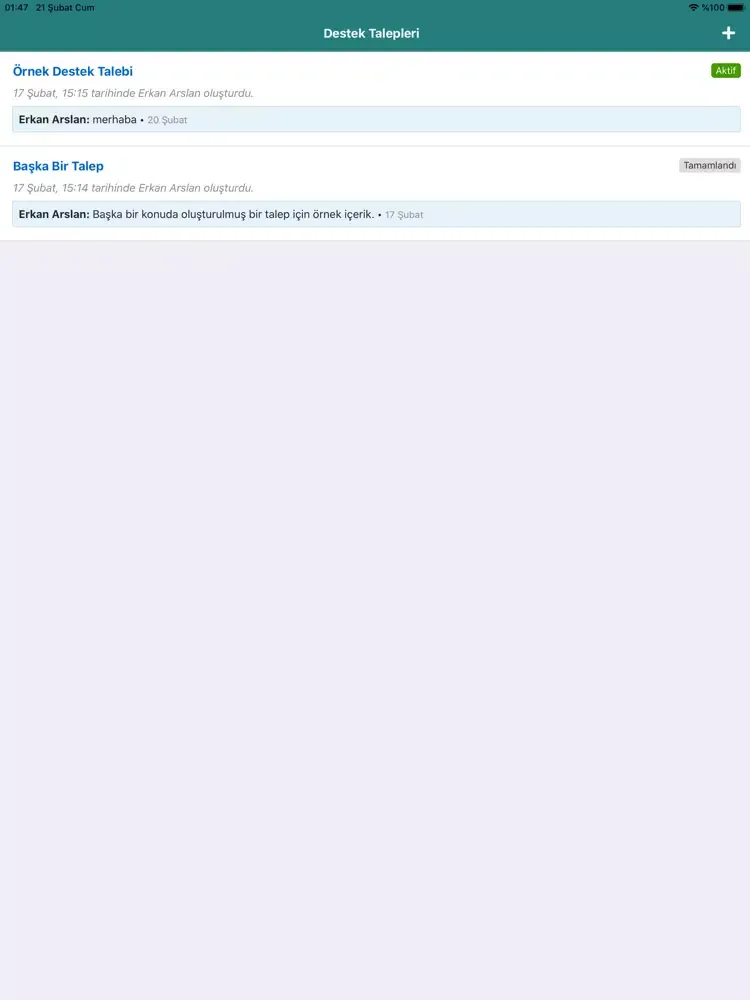 Screenshot di Yıldız Mali Müşavirlik iPad 