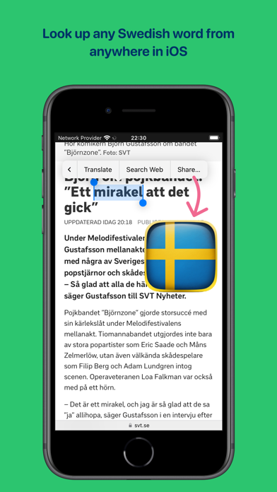 Swedish Dictionary Screenshots