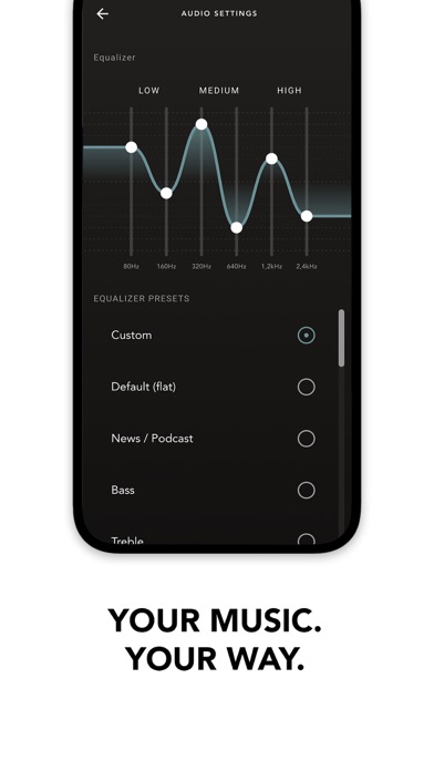 Devialet Gemini Screenshots