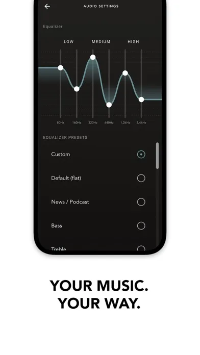 Devialet Gemini سکرین شاٹس