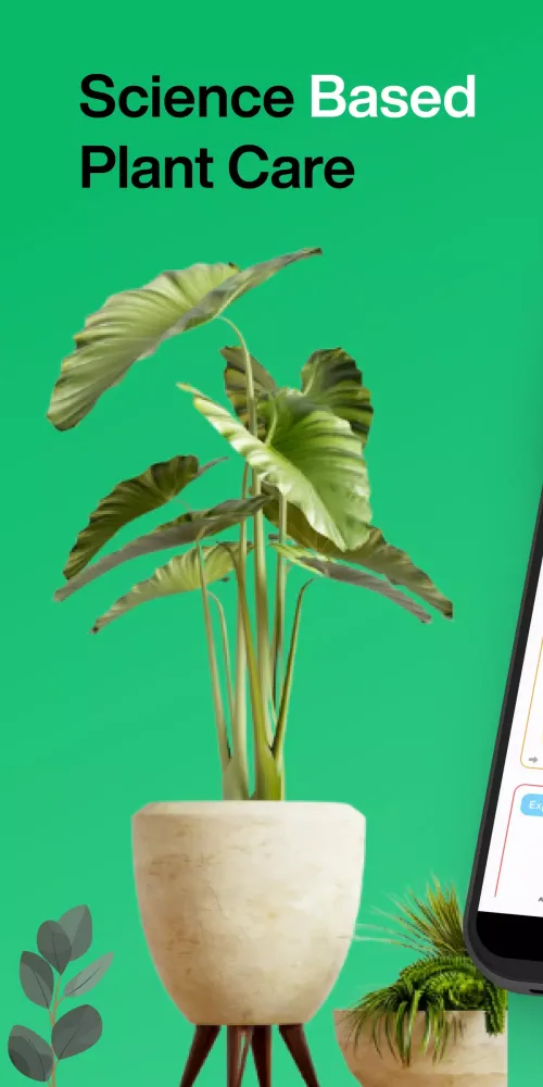 Grow Screenshots