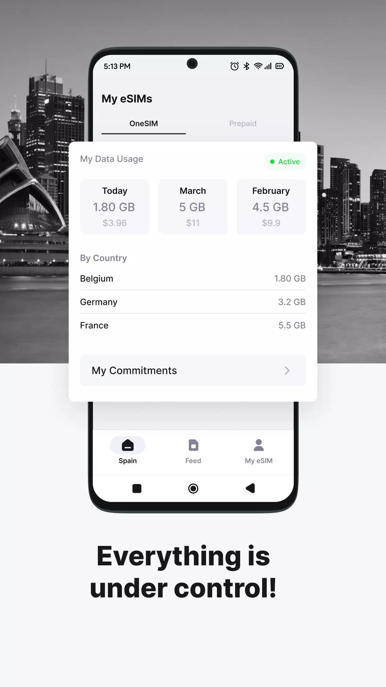 eSIM io Screenshots