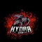 Hydra Gym