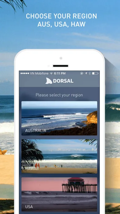 Dorsal Shark Reports Screenshots