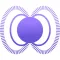 Polar - The Learning App