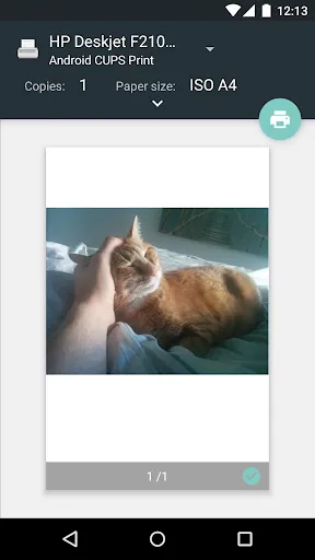 CUPS Printing Screenshots