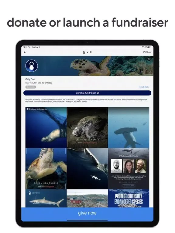 Givio - The Giving App iPad  Screenshots