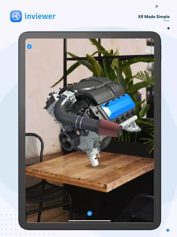 صور Inviewer iPad 