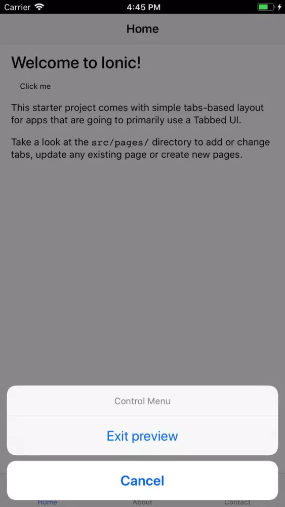 Screenshot di Ionic DevApp