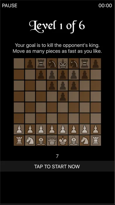 تصاویر Kill the King: Realtime Chess